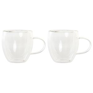 Koffieglazen/theeglazen dubbelwandig - set 2x - cappuccino glazen - 250 ml