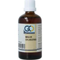 GO GO malus sylvestrus bio GO GO malus sylvestrus bio
