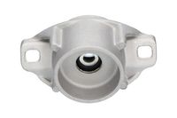Veerpoot SSM10028