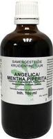 Natura Sanat Angelica/mentha piperita compl tinctuur (100 ml)