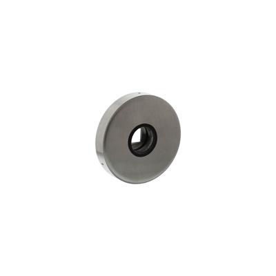 Intersteel Rozet verdekt geveerd met nokken 53x10mm massief RVS