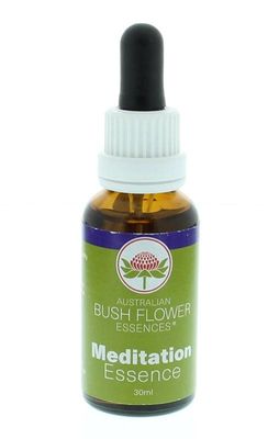 Meditation essence