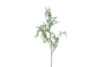 Decostar Cotoneaster kunstplant 78 cm groen
