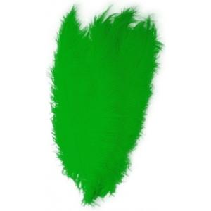 Carnaval verkleed veer/struisvogelveren - groen - 50 cm - Carnaval - Sierveren/charleston veren