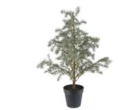 Mini boom prelit d35h80 cm groen/wit - Everlands