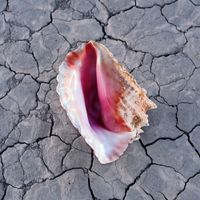 Wonderful Wonderful (Del.Ed.) - CD (0602557918458) - thumbnail