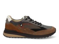 Australian Sparrow taupe grey tan taupe maat 45