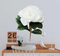 Muursticker witte roos polygonaal - thumbnail