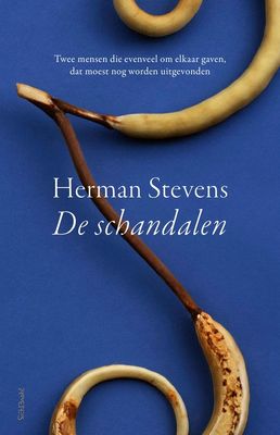 De schandalen - Herman Stevens - ebook
