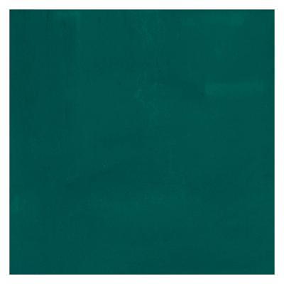 Bruynzeel Ecola plakkaatverf fles 16ml donkergroen 602
