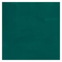 Bruynzeel Ecola plakkaatverf fles 16ml donkergroen 602