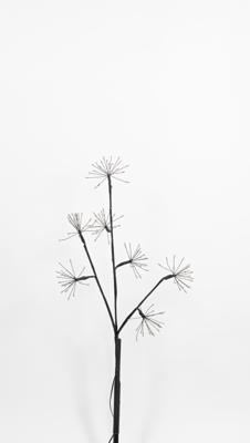 Led Firework Branch 60Cm/7X20Led Classic Black Branch - 4,5V - Annas collection