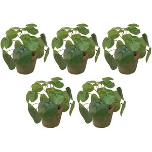 5x Kunstplanten pilea groen in pot 13 cm