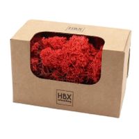 HBX Natural Living Decoratie mos - rood - 50 gram - rendiermos - hobby   - - thumbnail