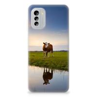 Nokia G60 | TPU Hoesje | Koe
