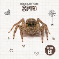 De levensloop van een spin (Hardback)