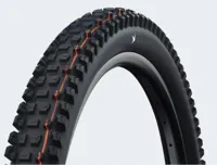 Schwalbe albert trail pro 29x2.50 (63-622) folding evolution line ultra soft black