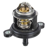 thermostaat 173939