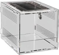 Repto terrarium clear 20x15x15,3 cm Aquadistri - Aquadistri