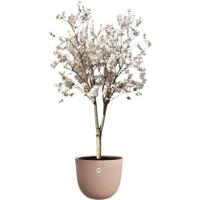 Bloempot - ELHO - Sereh Rond 47 - Bruin - Ø 47 x H 40 cm - 100% gerecycled