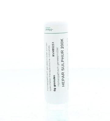 Homeoden Heel Hepar sulphur 200K 6 Gram Homeoden Heel Hepar sulphur 200K 6 Gram