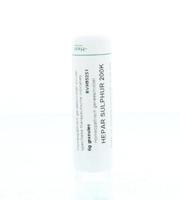 Homeoden Heel Hepar sulphur 200K 6 Gram