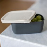 Koziol - Lunchbox, Klein, Lekvrij, Organic, As Grijs - Koziol Candy S - thumbnail