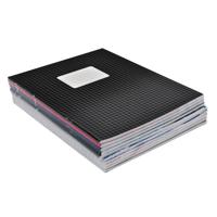 School schriften - 10x st - gekleurd - A5 formaat - ruitjes van 5 mm - Schoolschriften