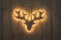 Smd hertenkop 60x42cm 270led warm wit - 5mtr aanloopsnoer - ip44 trafo - Annas collection