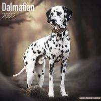 Kalender 2025 Dalmatiër