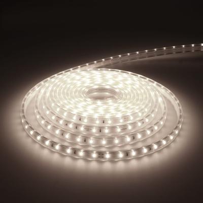 Dimbare LED Strip 5m - Lichtslang 6000K - 60 LEDs/m - IP65 voor binnen en buiten - SMD 2835 - Flex60 Series