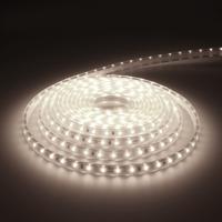 Dimbare LED Strip 5m - Lichtslang 6000K - 60 LEDs/m - IP65 voor binnen en buiten - SMD 2835 - Flex60 Series