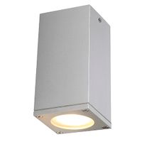 Plafondlamp THEO CEILING OUT zilvergrijs 1xGU10