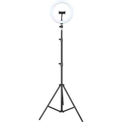 Houder iggual IGG317235 Zwart