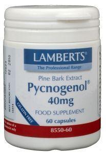 Lamberts Pijnboombast extract (Pycnogenol 40mg)