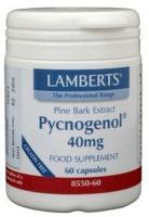 Lamberts Pijnboombast extract (Pycnogenol 40mg)