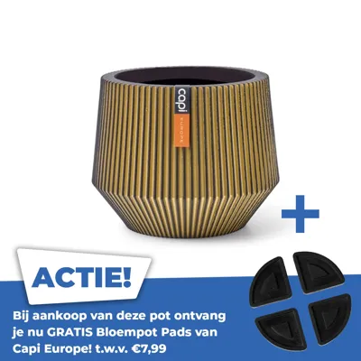 Vaas cilinder geo groove d9h8 zwart/goud