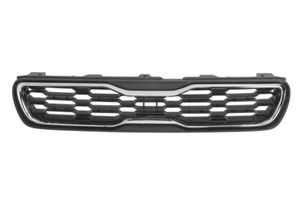 Radiateurgrille 6502073284991P