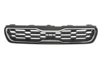 Radiateurgrille 6502073284991P
