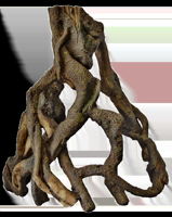Superfish Forest Deco Wood Mangrove wortel large