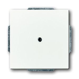 Busch-Jaeger blinde centraalplaat 1742-884 studiowit mat