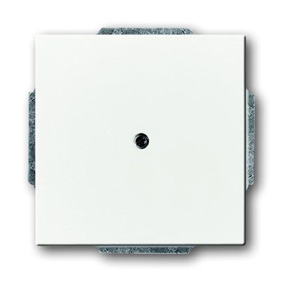 Busch-Jaeger blinde centraalplaat 1742-884 studiowit mat