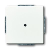 Busch-Jaeger blinde centraalplaat 1742-884 studiowit mat