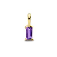 14K Geelgouden Hanger Februari Geboortesteen 9mm