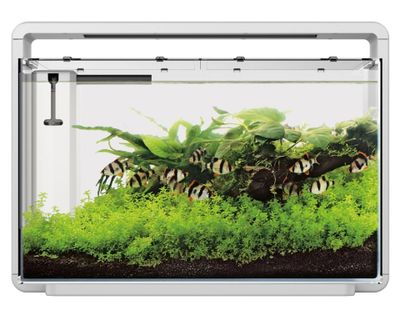 Superfish Home 65 Aquarium - Modern Wit Design 60L met Dimbare High-Power LED Verlichting