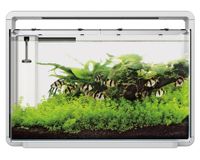 Superfish Home 65 Aquarium - Modern Wit Design 60L met Dimbare High-Power LED Verlichting Superfish Home 65 Aquarium - Modern Wit Design 60L met Dimbare High-Power LED Verlichting