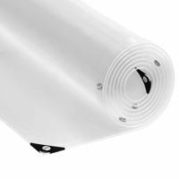 VidaXL Doorzichtig zeildoek met zeilringen 3x3 m pvc