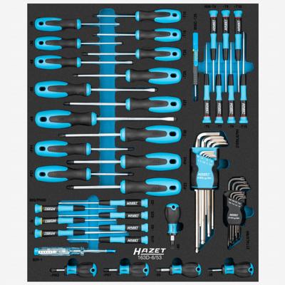 HAZET Schroevendraaierset 163D-6/53 - Binnen-zeskant-profiel, Binnen-TORX®-profiel, Kruiskop profiel PH, Pozidriv-profiel PZ, Sleufprofiel - 53-delig