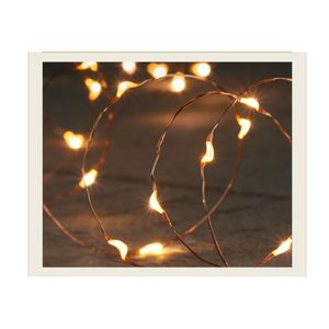 Anna Collection lichtdraad - koperdraad- 10 leds - warm wit - 100 cm   -