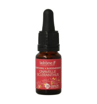 Scleranthus / hardbloem bio